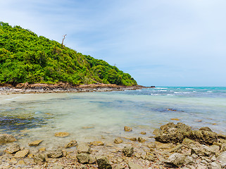 Image showing Tropical beach