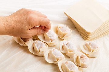 Image showing Homemade chinese dumpling