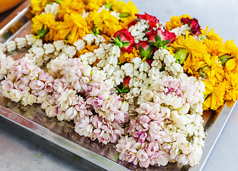 Image showing Flower for offering in Thailand