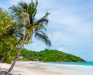 Image showing Tropical beach with palm trees