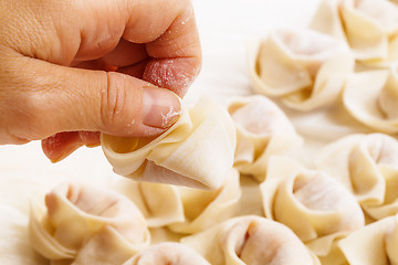 Image showing Homemade chinese dumpling