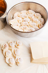 Image showing Homemade dumpling and raw material