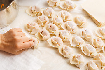 Image showing Making of Traditional Chinese dumpling