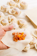 Image showing Making of Chinese dumpling