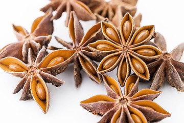 Image showing Chinese aniseed close up