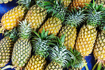 Image showing Pineapple pile