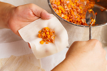 Image showing Wrapping of Chinese dumpling