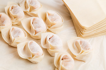 Image showing Homemade dumpling and raw material