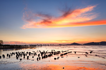 Image showing Sunset coast