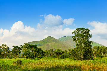 Image showing Countryside with sunshine