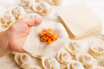 Image showing Wrapping of Chinese dumpling