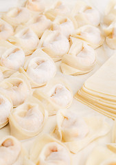 Image showing Homemade dumpling and raw material