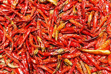 Image showing Red Chili peppers