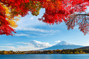 Image showing Mt. Fuji in autumn