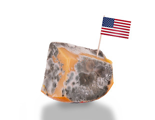 Image showing Piece of cheese gone bad