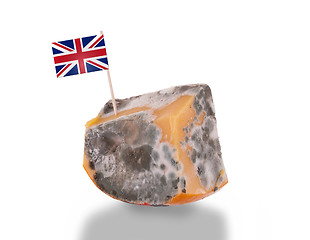 Image showing Piece of cheese gone bad