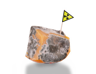 Image showing Piece of cheese gone bad