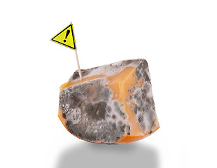 Image showing Piece of cheese gone bad