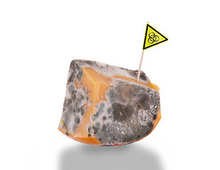 Image showing Piece of cheese gone bad