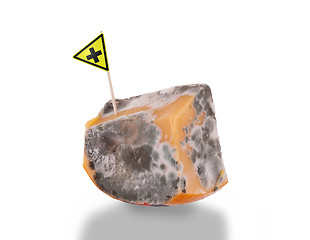 Image showing Piece of cheese gone bad