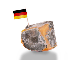 Image showing Piece of cheese gone bad