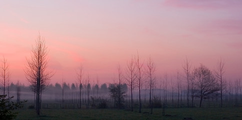 Image showing Morning mist