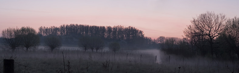 Image showing red morning