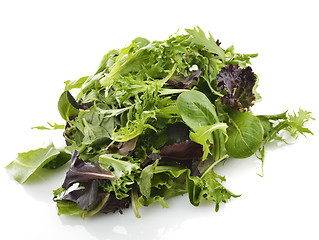 Image showing Salad Leaves