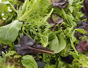 Image showing Salad Leaves