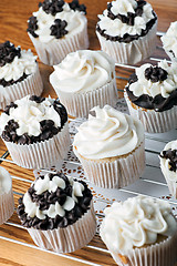 Image showing Iced Gourmet Cup Cakes