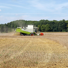 Image showing Harvest