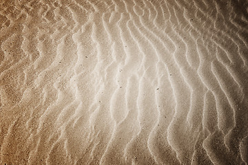 Image showing Beach with soft sand