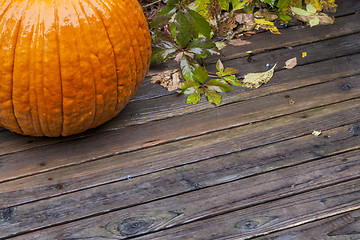 Image showing pumpkin in the rain