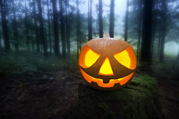 Image showing Halloween pumpkin