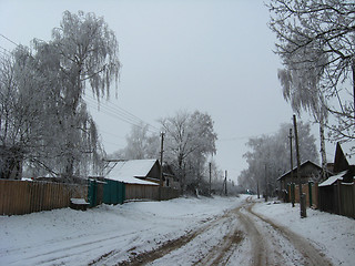 Image showing winte rural landscape