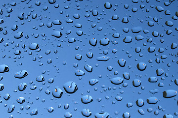 Image showing Water drops