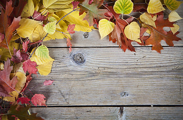 Image showing Fall Background