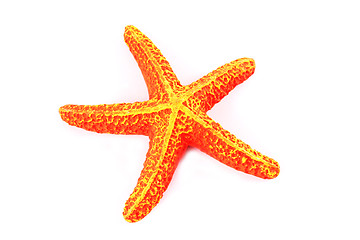 Image showing Orange starfish