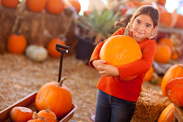 Image showing Cute Girl Choosing A Pumpkin