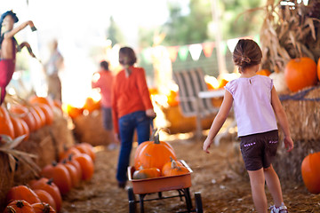 Image showing Cute Little Girls Pulling Their Pumpkins In A Wagon