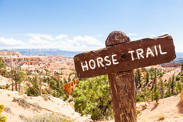 Image showing Horse Trail