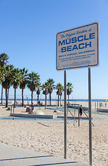 Image showing Muscle Beach