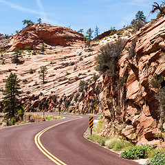 Image showing Road in Zion