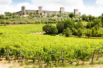 Image showing Wineyard in Tuscany