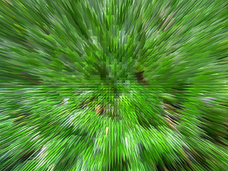 Image showing Green unusual background