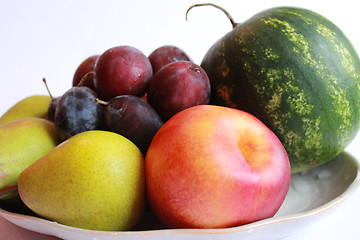 Image showing watermelon, pears, pluma and nectarine