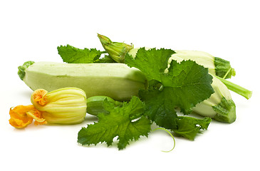 Image showing vegetable marrow with flowers