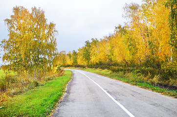 Image showing autumn road