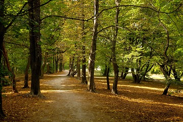 Image showing Autumn