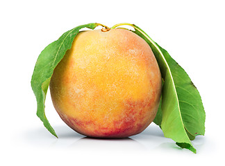 Image showing Peach and leaf